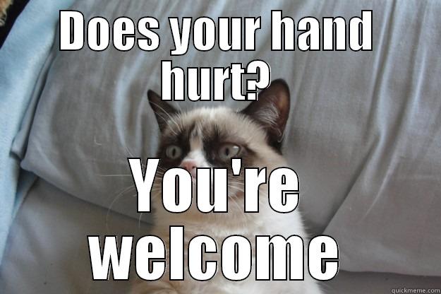 DOES YOUR HAND HURT? YOU'RE WELCOME Grumpy Cat