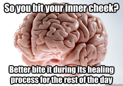 So you bit your inner cheek? Better bite it during its healing process for the rest of the day  Scumbag Brain