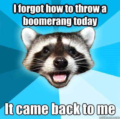 I forgot how to throw a boomerang today It came back to me
  Lame Pun Coon