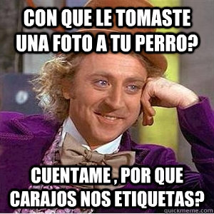 con que le tomaste una foto a tu perro? cuentame , por que carajos nos etiquetas?  willie wonka spanish tell me more meme