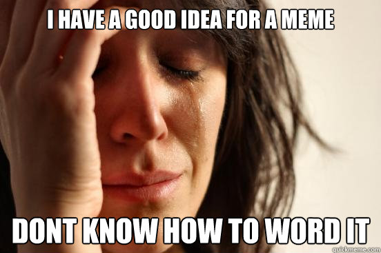 I have a good idea for a meme dont know how to word it   First World Problems