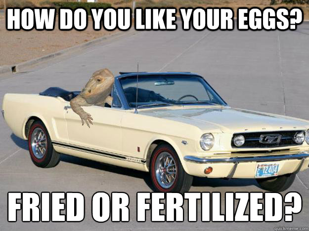 How do you like your eggs? fried or fertilized? 
  Pickup Dragon
