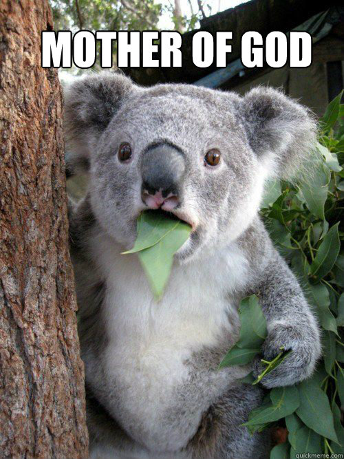 Mother of God - Mother of God  Shocked Koala