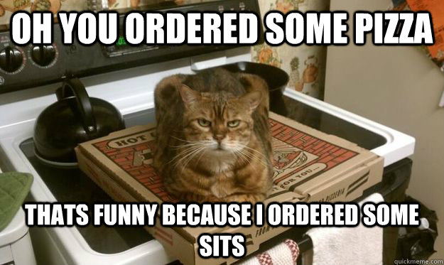 Oh you ordered some pizza Thats funny because I ordered some sits  