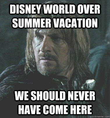Disney world over summer vacation We should never have come here  