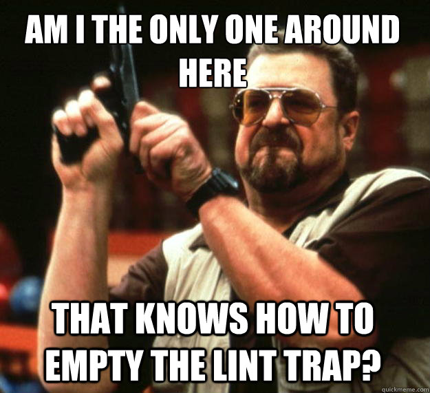 Am I the only one around here that knows how to empty the lint trap?  Walter