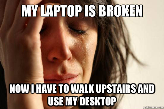 My laptop is broken now I have to walk upstairs and use my desktop  First World Problems