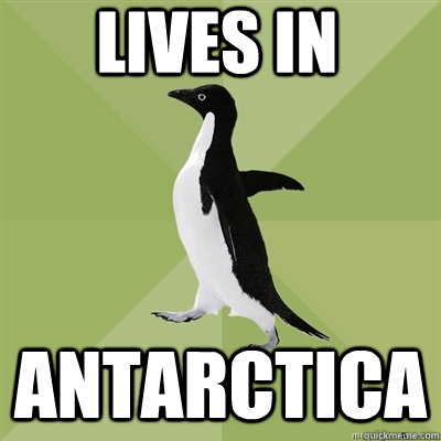 Lives in Antarctica  Socially Average Penguin
