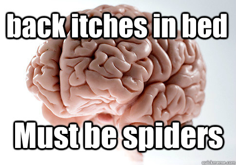 back itches in bed Must be spiders  Scumbag Brain