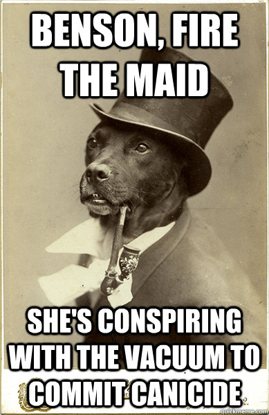 Benson, fire the maid She's conspiring with the vacuum to commit canicide - Benson, fire the maid She's conspiring with the vacuum to commit canicide  Old Money Dog