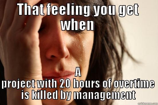 THAT FEELING YOU GET WHEN A PROJECT WITH 20 HOURS OF OVERTIME IS KILLED BY MANAGEMENT First World Problems