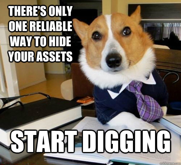 there's only one reliable way to hide your assets start digging  Lawyer Dog