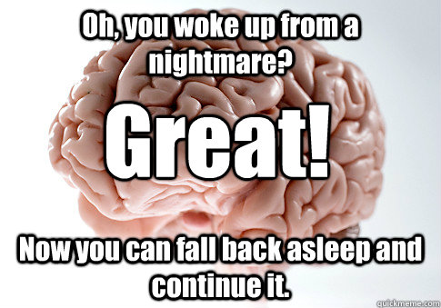 Oh, you woke up from a nightmare? Now you can fall back asleep and continue it. Great!  Scumbag Brain