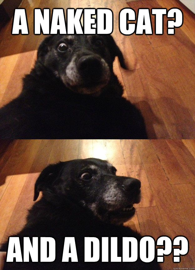 A naked cat? And a dildo??  