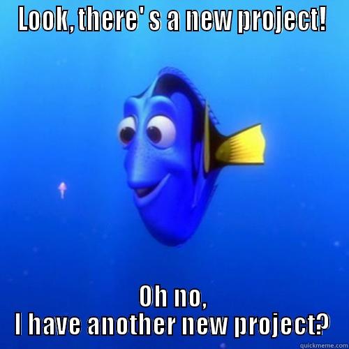 LOOK, THERE' S A NEW PROJECT! OH NO, I HAVE ANOTHER NEW PROJECT? dory