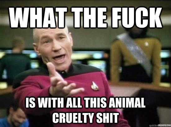 What the fuck Is with all this animal cruelty shit  Annoyed Picard HD