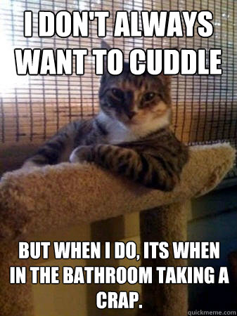 I don't always want to cuddle but when I do, its when in the bathroom taking a crap.  The Most Interesting Cat in the World