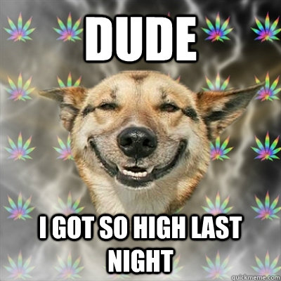 Dude I got so high last night  - Dude I got so high last night   Stoner Dog