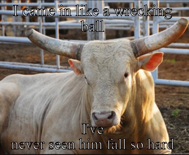 I CAME IN LIKE A WRECKING BALL I'VE NEVER SEEN HIM FALL SO HARD Misc