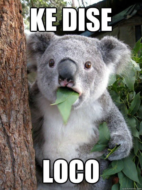Ke dise loco - Ke dise loco  Surprised Koala