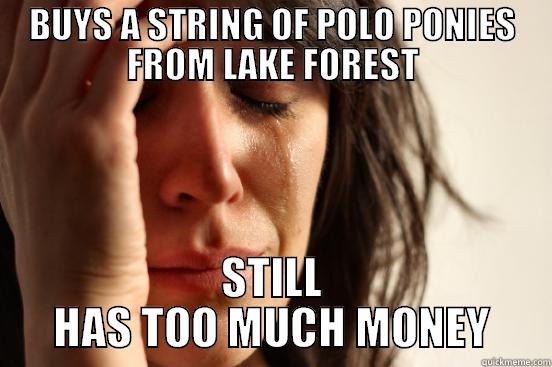 BUYS A STRING OF POLO PONIES FROM LAKE FOREST STILL HAS TOO MUCH MONEY First World Problems
