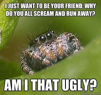 I just want to be your friend, why do you all scream and run away? Am I that ugly?  Misunderstood Spider