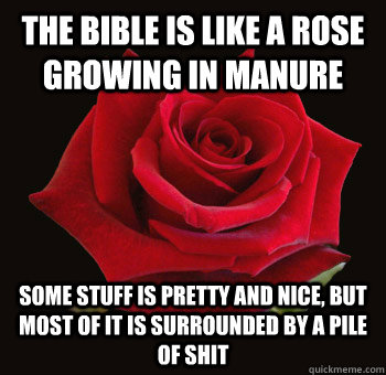 the bible is like a rose growing in manure Some stuff is pretty and nice, but most of it is surrounded by a pile of shit - the bible is like a rose growing in manure Some stuff is pretty and nice, but most of it is surrounded by a pile of shit  Realization