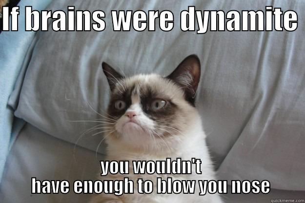 IF BRAINS WERE DYNAMITE  YOU WOULDN'T HAVE ENOUGH TO BLOW YOU NOSE Grumpy Cat