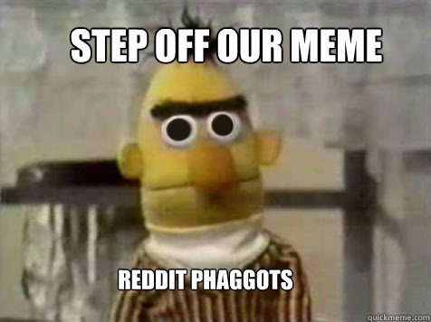 STEP OFF OUR MEME REDDIT PHAGGOTS  