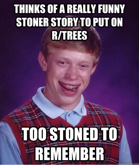 Thinks of a really funny stoner story to put on r/trees Too stoned to remember  Bad Luck Brian