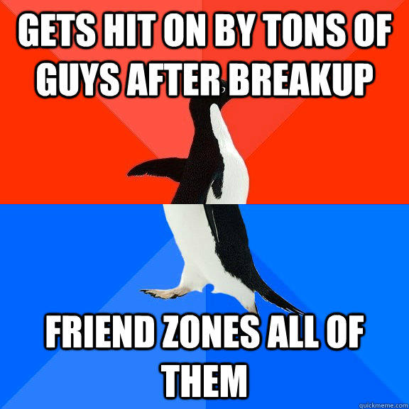 gets hit on by tons of guys after breakup friend zones all of them  Socially Awesome Awkward Penguin