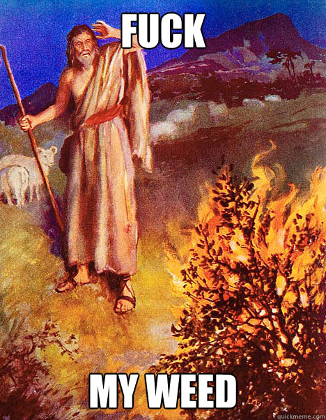 Fuck my weed - Fuck my weed  Jesus and his weed