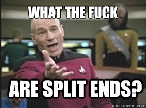 what the fuck are split ends? - what the fuck are split ends?  Annoyed Picard