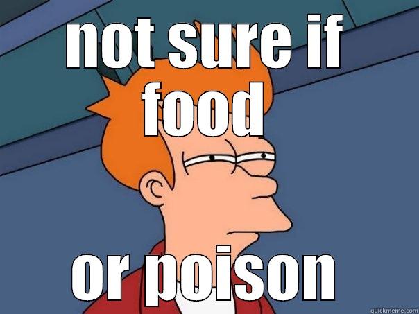 NOT SURE IF FOOD OR POISON Futurama Fry