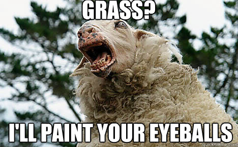 Grass? I'll paint your eyeballs  Meth Sheep