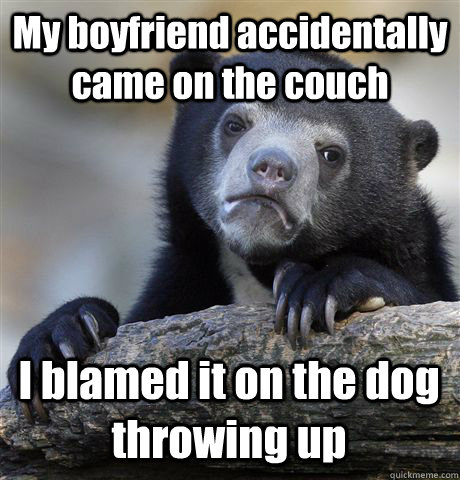 My boyfriend accidentally came on the couch I blamed it on the dog throwing up  Confession Bear
