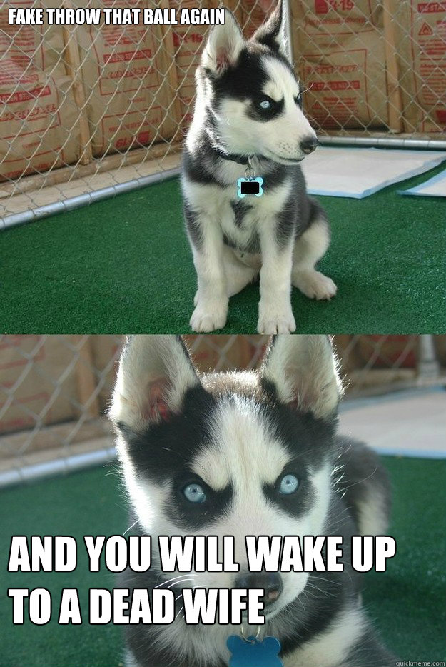 Fake throw that ball again and you will wake up to a dead wife  Insanity puppy