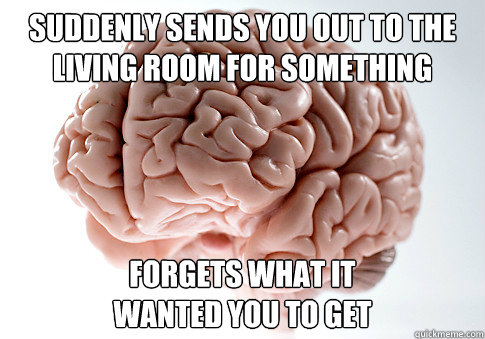 Suddenly sends you out to the living room for something forgets what it
wanted you to get  Scumbag Brain