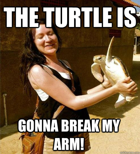 the turtle is gonna break my arm! - the turtle is gonna break my arm!  Turtle Slap