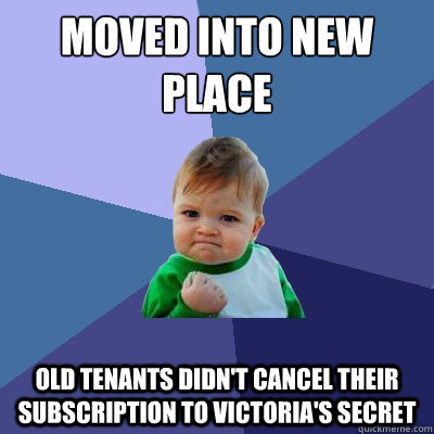 moved into new place old tenants didn't cancel their subscription to victoria's secret  Success Kid