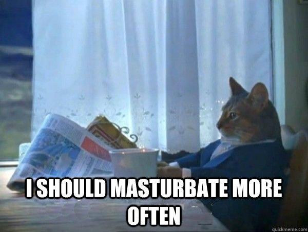  I should masturbate more often  morning realization newspaper cat meme