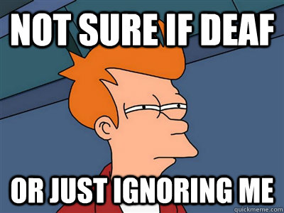 Not sure if Deaf or just ignoring me - Not sure if Deaf or just ignoring me  Fry meme