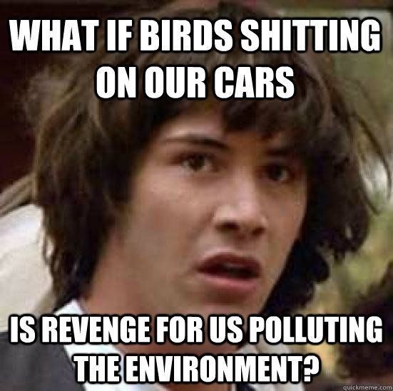 What if birds shitting on our cars Is revenge for us polluting the environment?  conspiracy keanu