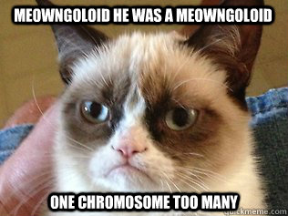 meowngoloid he was a meowngoloid ONE CHROMOSOME TOO MANY   