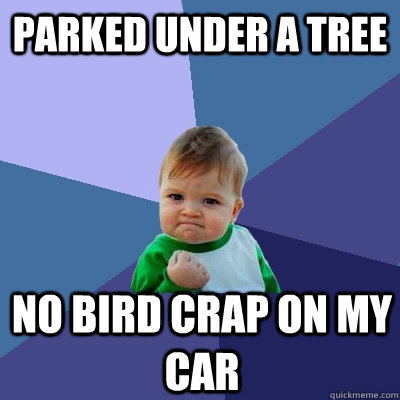 parked under a tree no bird crap on my car  Success Kid