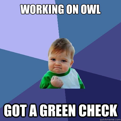 Working on owl Got a green check  Success Kid