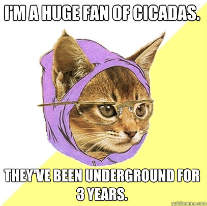 I'm a huge fan of cicadas. they've been underground for 3 years.  Hipster Kitty