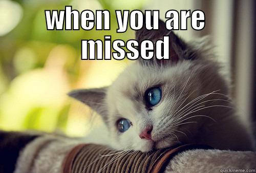 WHEN YOU ARE MISSED  First World Problems Cat