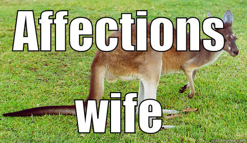 AFFECTIONS WIFE Kangaroo and T-rex