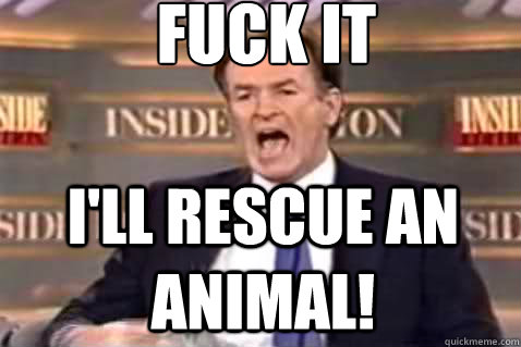 fuck it I'll rescue an animal!  Fuck It Bill OReilly